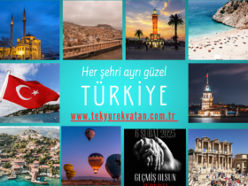 TekYurekVatan.com.tr Alan Adı Satılık Domain