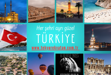 TekYurekVatan.com.tr Alan Adı Satılık Domain